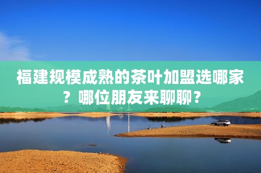 福建规模成熟的茶叶加盟选哪家？哪位朋友来聊聊？