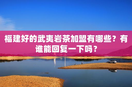 福建好的武夷岩茶加盟有哪些？有谁能回复一下吗？