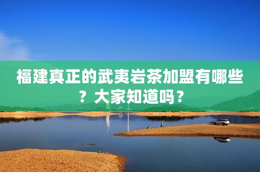 福建真正的武夷岩茶加盟有哪些？大家知道吗？