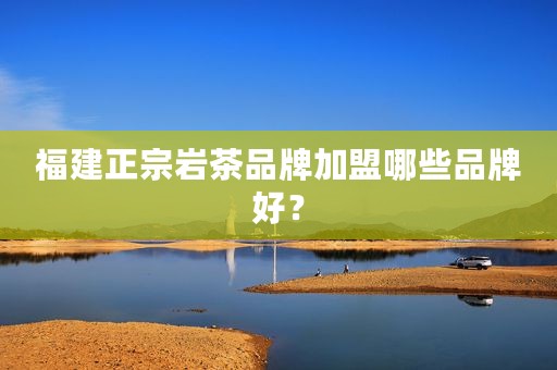 福建正宗岩茶品牌加盟哪些品牌好？