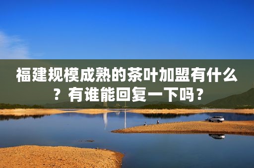 福建规模成熟的茶叶加盟有什么？有谁能回复一下吗？
