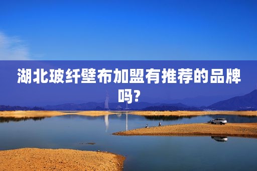 湖北玻纤壁布加盟有推荐的品牌吗?