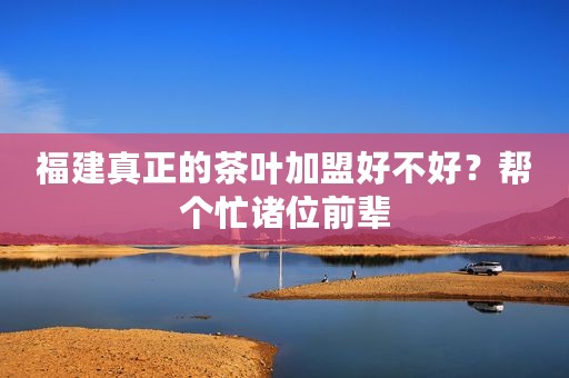 福建真正的茶叶加盟好不好？帮个忙诸位前辈