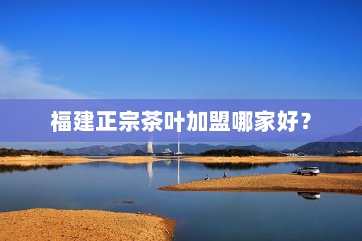 福建正宗茶叶加盟哪家好？