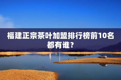 福建正宗茶叶加盟排行榜前10名都有谁？