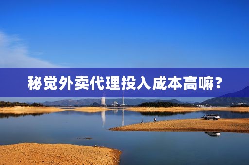 秘觉外卖代理投入成本高嘛？