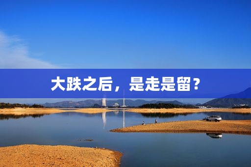 大跌之后，是走是留？