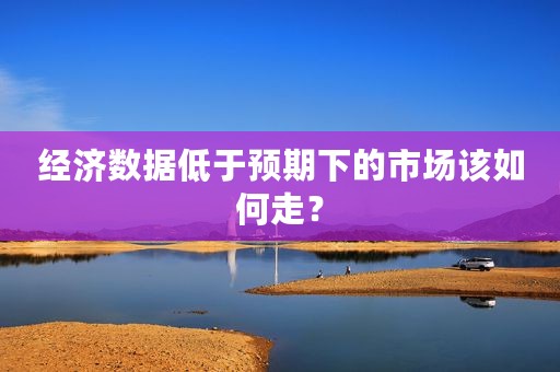 经济数据低于预期下的市场该如何走？