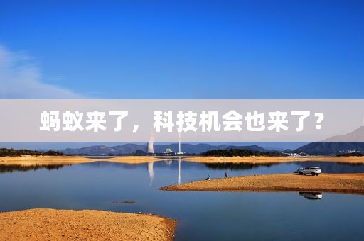 蚂蚁来了，科技机会也来了？