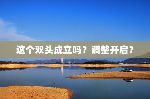 这个双头成立吗？调整开启？