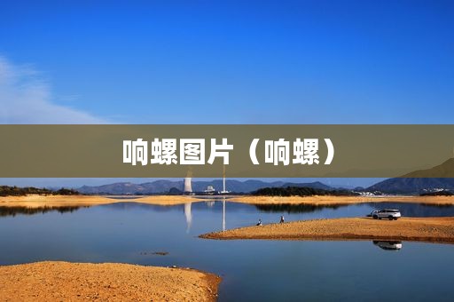 响螺图片（响螺）
