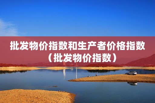 批发物价指数和生产者价格指数（批发物价指数）