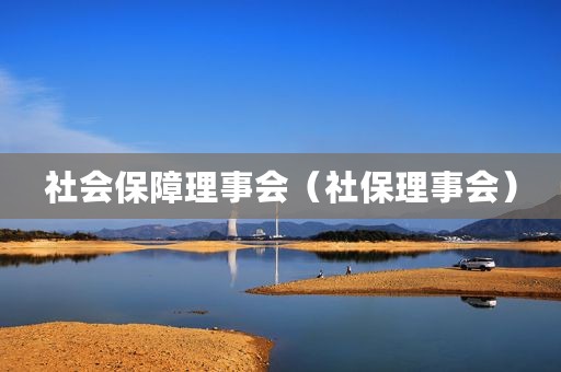 社会保障理事会（社保理事会）