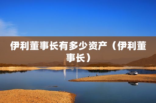 伊利董事长有多少资产（伊利董事长）