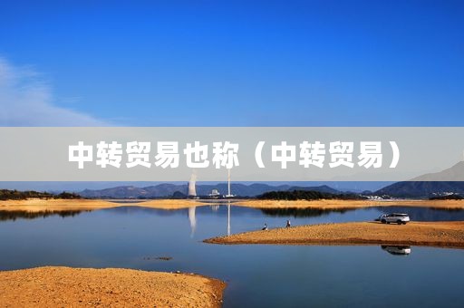 中转贸易也称（中转贸易）