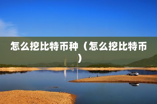 怎么挖比特币种（怎么挖比特币）
