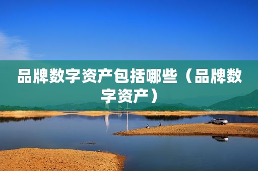 品牌数字资产包括哪些（品牌数字资产）