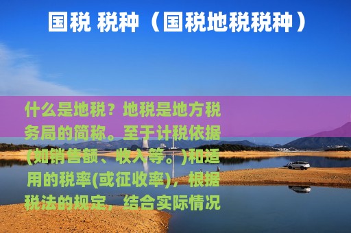 国税 税种（国税地税税种）