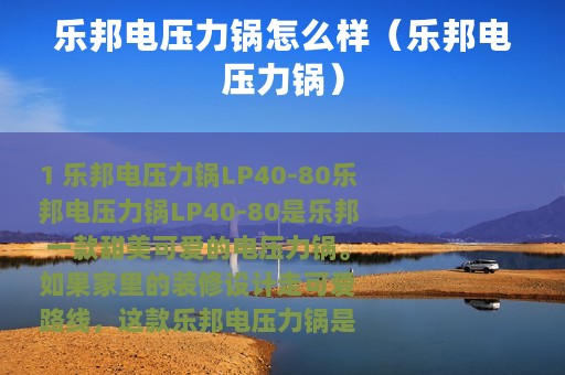 乐邦电压力锅怎么样（乐邦电压力锅）