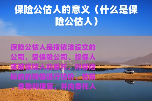 保险公估人的意义（什么是保险公估人）