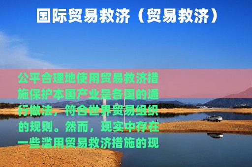 国际贸易救济（贸易救济）