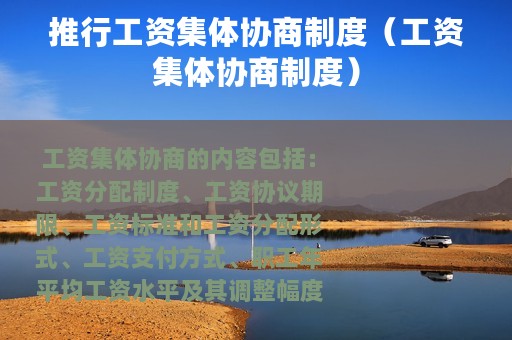 推行工资集体协商制度（工资集体协商制度）