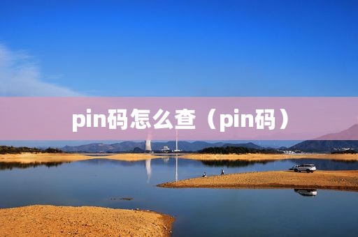 pin码怎么查（pin码）