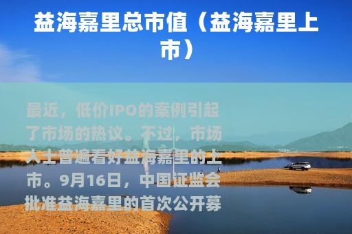 益海嘉里总市值（益海嘉里上市）