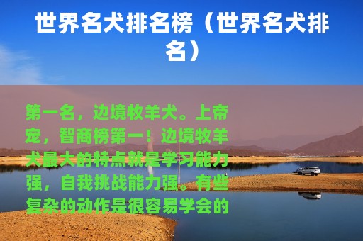 世界名犬排名榜（世界名犬排名）