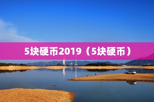 5块硬币2019（5块硬币）