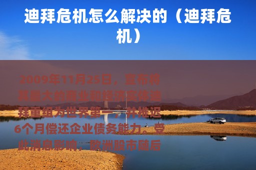 迪拜危机怎么解决的（迪拜危机）