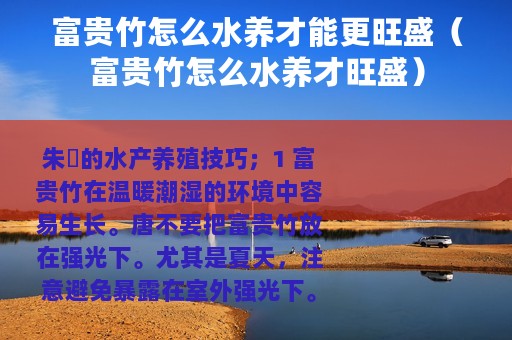 富贵竹怎么水养才能更旺盛（富贵竹怎么水养才旺盛）