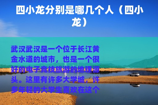 四小龙分别是哪几个人（四小龙）