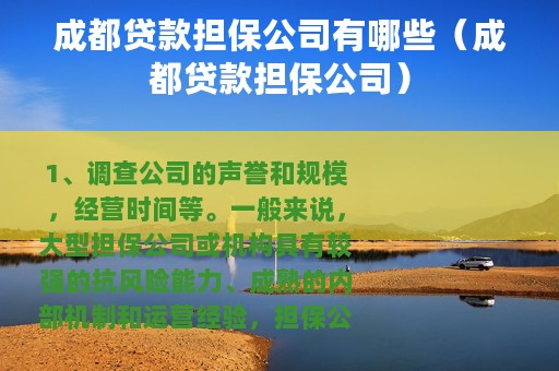 成都贷款担保公司有哪些（成都贷款担保公司）