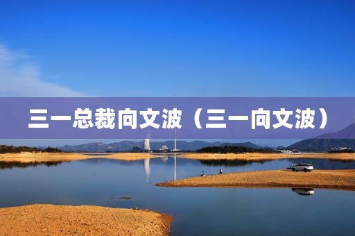 三一总裁向文波（三一向文波）