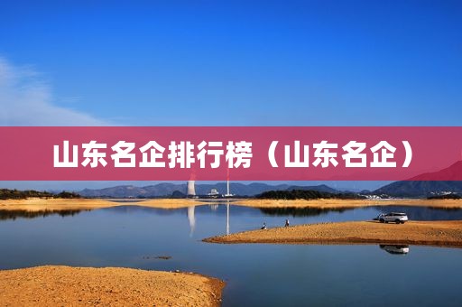 山东名企排行榜（山东名企）