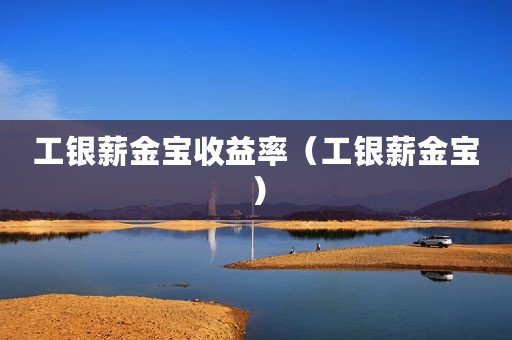 工银薪金宝收益率（工银薪金宝）