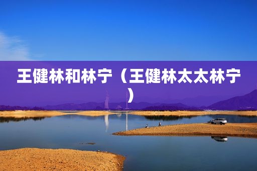 王健林和林宁（王健林太太林宁）