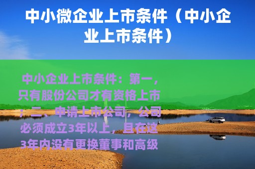 中小微企业上市条件（中小企业上市条件）