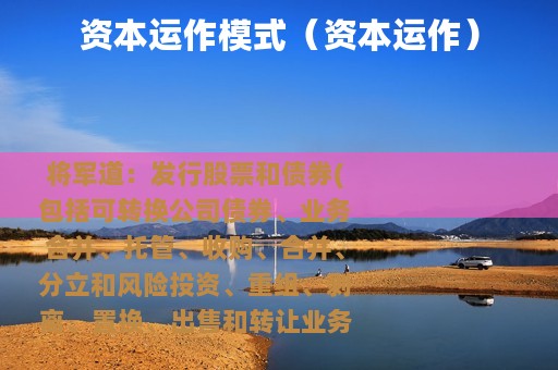 资本运作模式（资本运作）