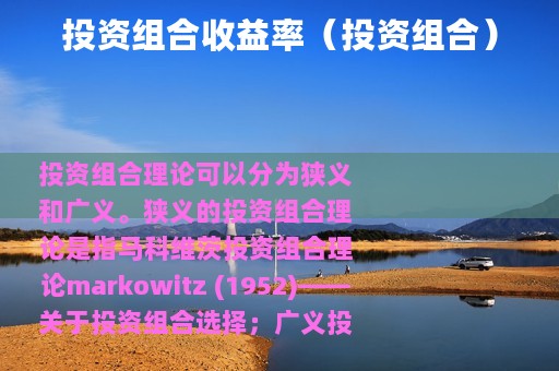 投资组合收益率（投资组合）