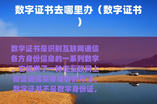 数字证书去哪里办（数字证书）