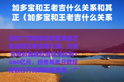 加多宝和王老吉什么关系和其正（加多宝和王老吉什么关系）