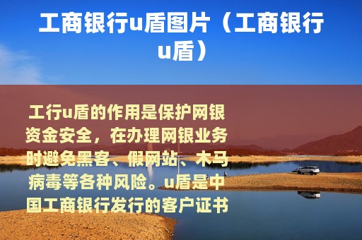 工商银行u盾图片（工商银行u盾）