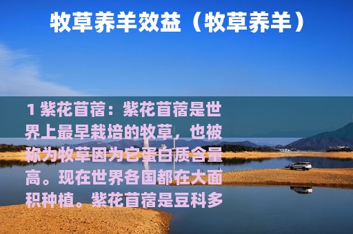 牧草养羊效益（牧草养羊）