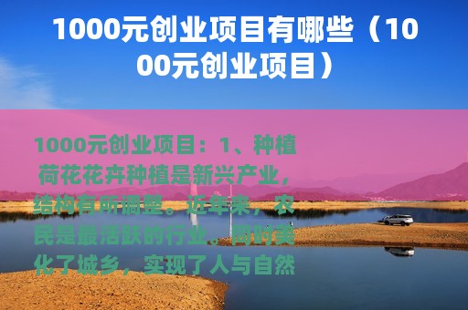 1000元创业项目有哪些（1000元创业项目）