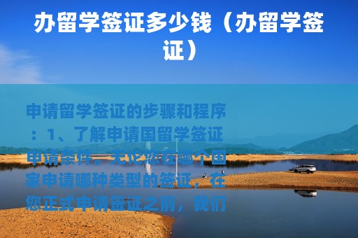 办留学签证多少钱（办留学签证）