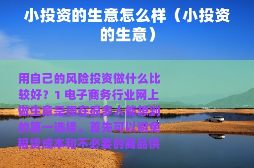小投资的生意怎么样（小投资的生意）