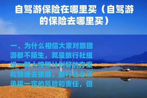 自驾游保险在哪里买（自驾游的保险去哪里买）