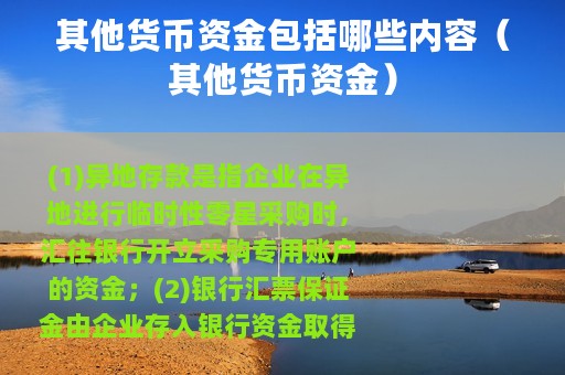 其他货币资金包括哪些内容（其他货币资金）